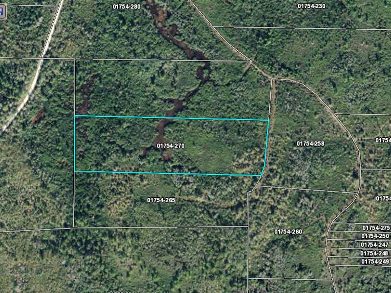 14.41 Acres In Perry, FL Land for Sale by Owner in Perry, Taylor