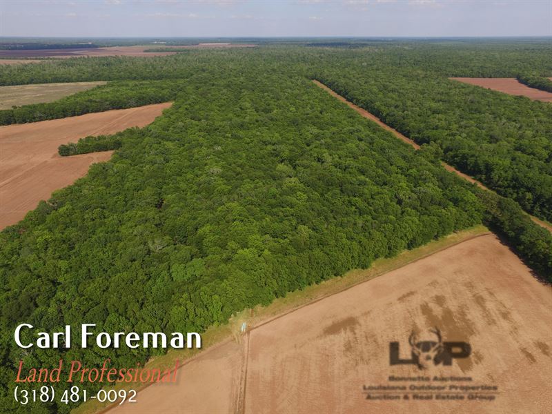 66 Acres Hunting Land : Evergreen : Avoyelles Parish : Louisiana