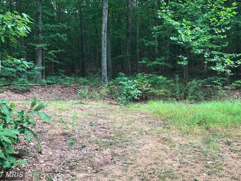 Unrestricted Land Land for Sale in Augusta, Hampshire County, West