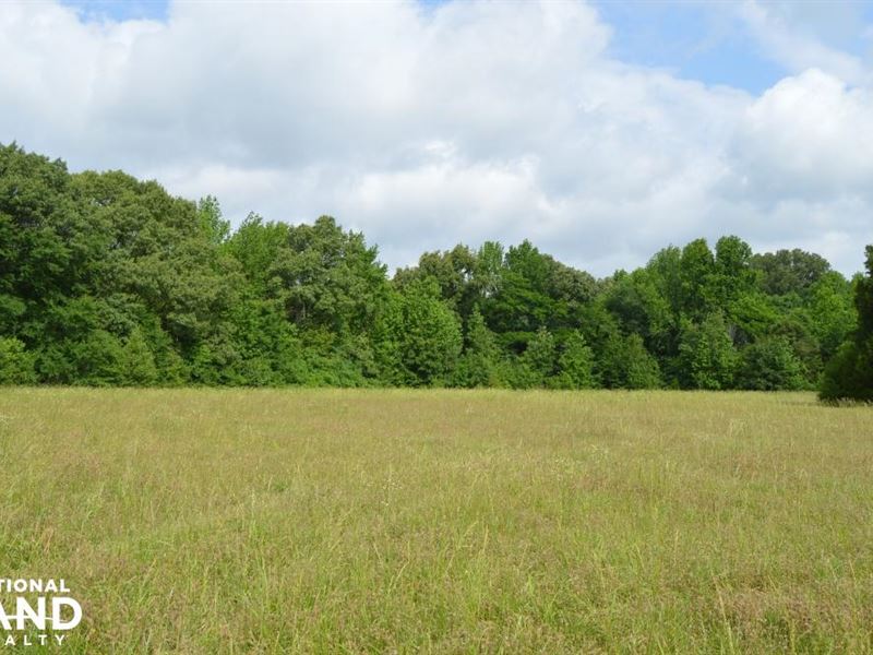 Austin Road Wooded and Pasture Land : Nesbit : Desoto County : Mississippi