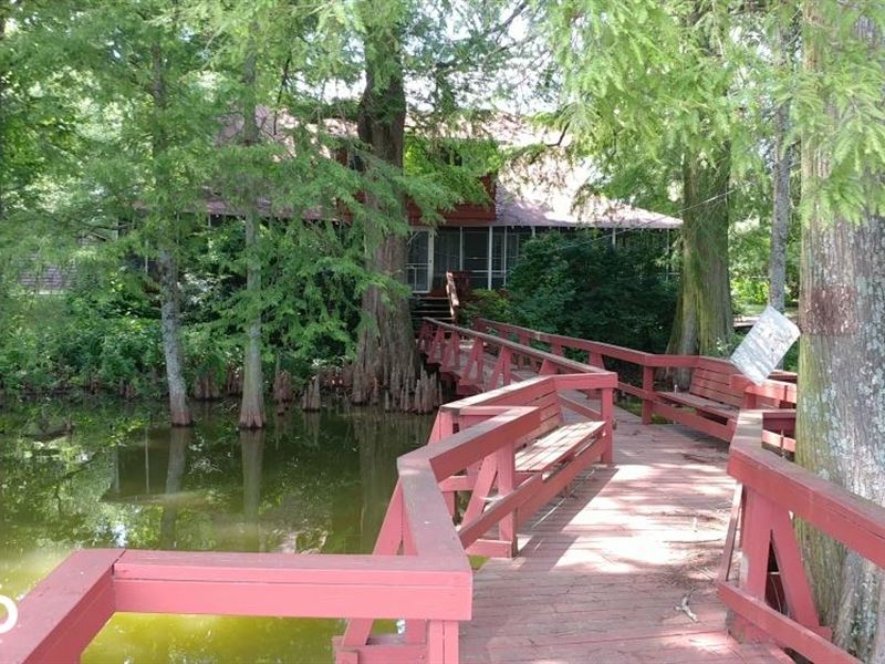 5 Acre Homestead with Lake Frontage : Scott : Lonoke County : Arkansas