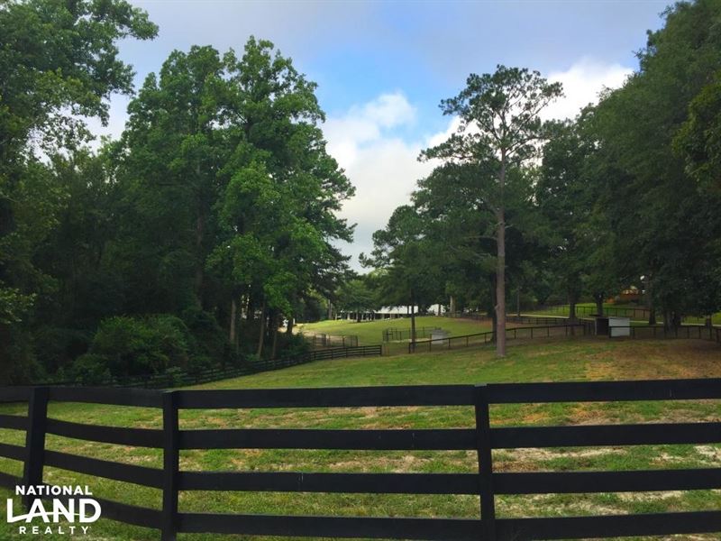 Camden Equestrian Opportunity : Camden : Kershaw County : South Carolina