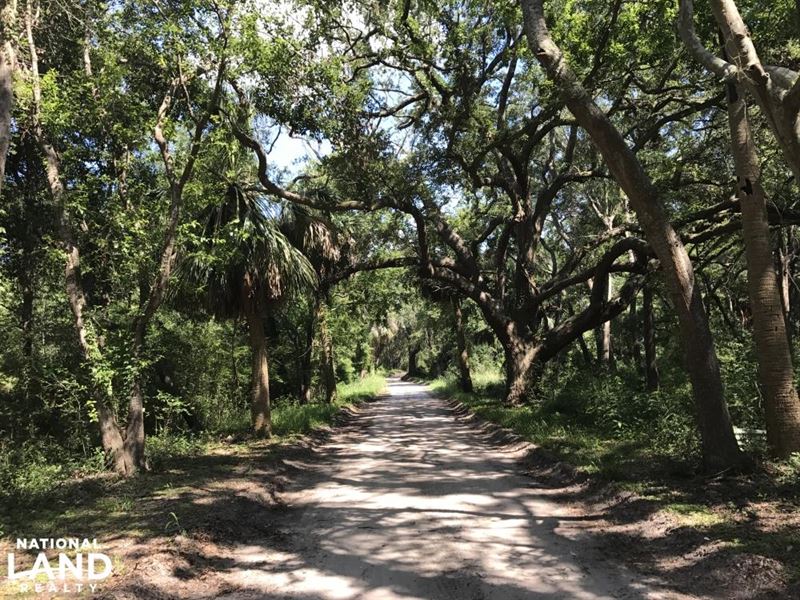 McTeer Drive St. Helena Lot : Saint Helena Island : Beaufort County : South Carolina