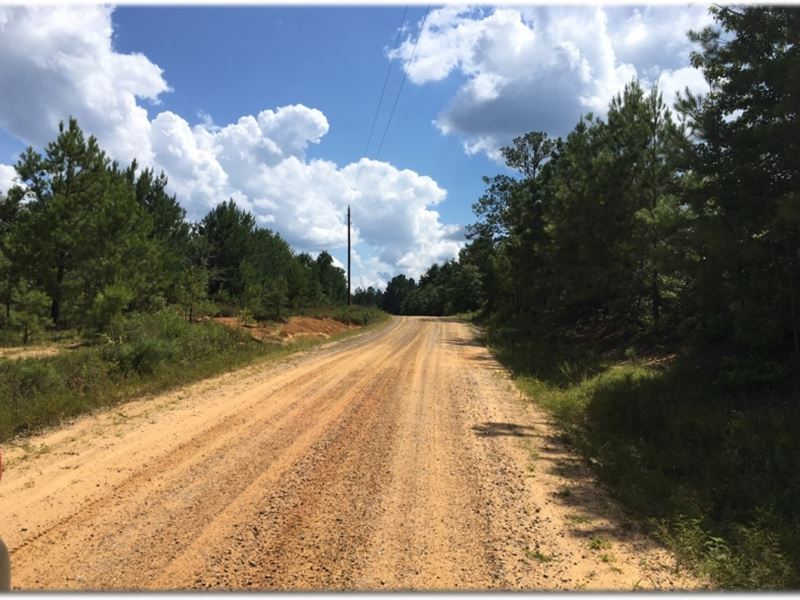 173 Acres in Scott County : Forest : Scott County : Mississippi