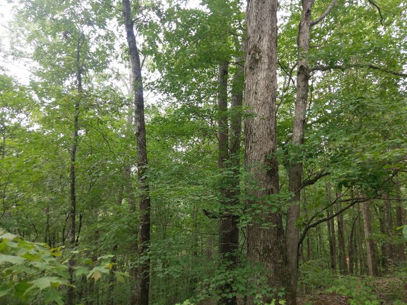 Sb Tract 9627 Land For Sale In Calhoun Gordon County Georgia 1306 Landflip Sb Tract 9627 Land For Sale In Calhoun Gordon County Georgia 1306 Landflip