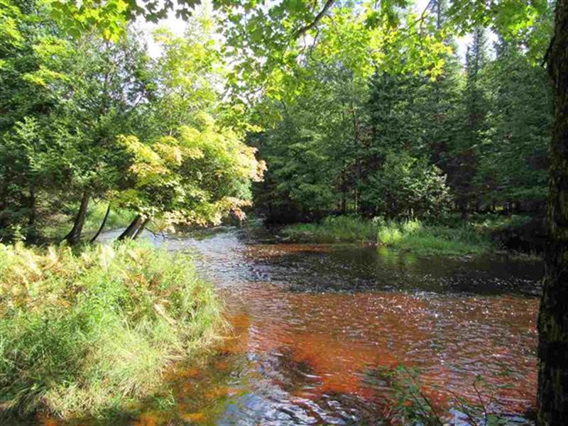 200 Acres Hwy 432, 1104252 : Turin : Delta County : Michigan