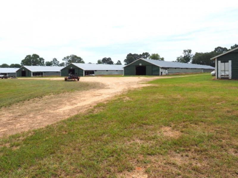 Poultry Farm, 73 Acres Pasture Land : Mount Olive : Smith County : Mississippi