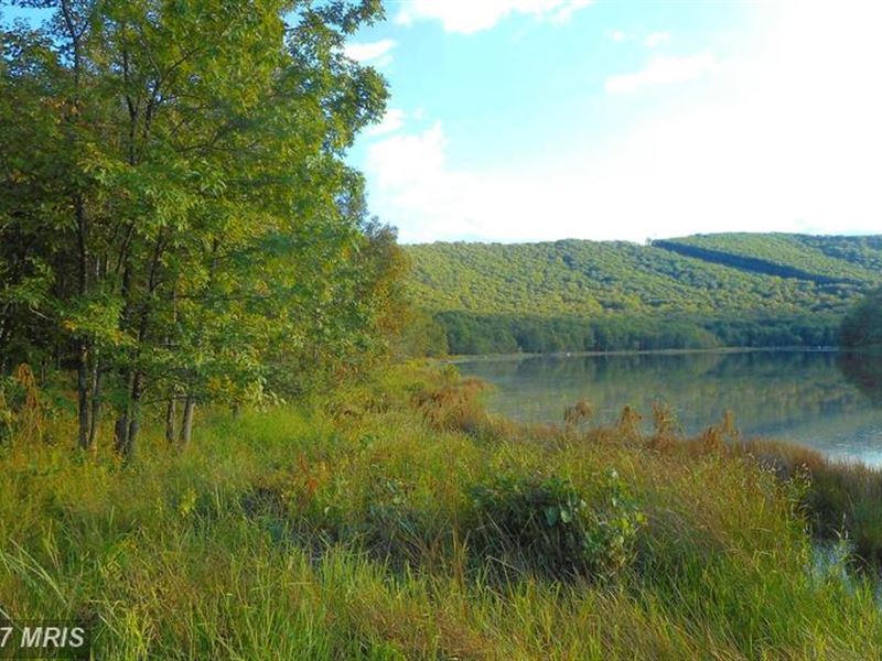 Lot On Lake Ferndale : Springfield : Hampshire County : West Virginia