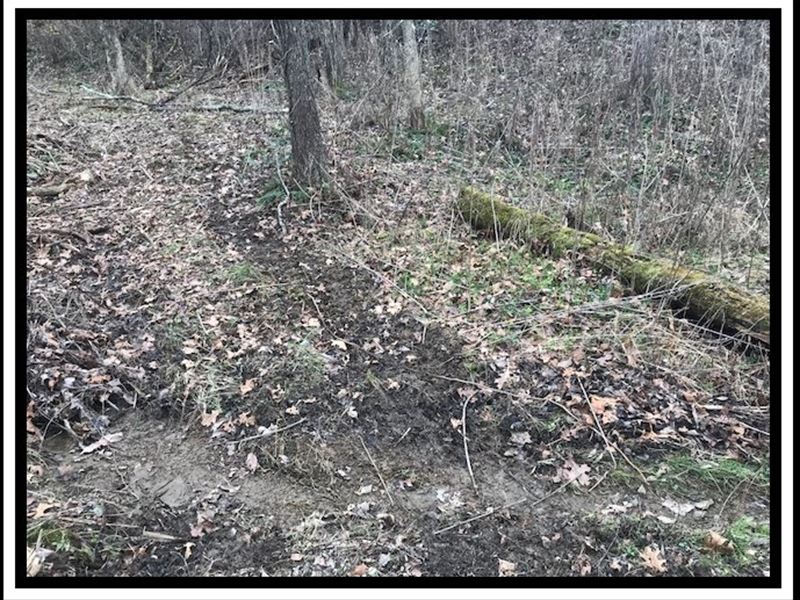Wild Turkey Valley : Dresden : Muskingum County : Ohio