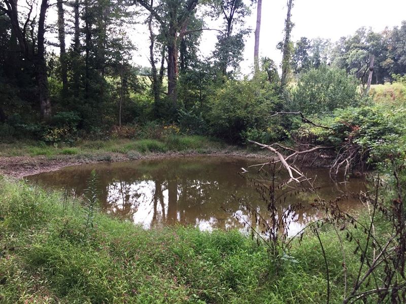Heisz Rd Hunting Land : Steuben : Crawford County : Wisconsin