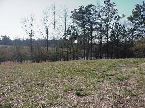 23 Acre Horse/cattle Farm : Boaz : Etowah County : Alabama