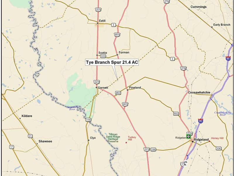 Tye Branch Spur Tract : Garnett : Jasper County : South Carolina