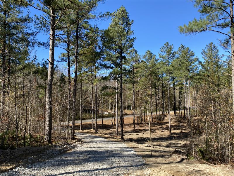 Beautiful Wooded Property Near Rome : Rome : Floyd County : Georgia