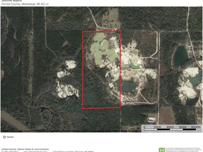 80 Acres Petal, Ms Forrest County Land for Sale in Petal, Forrest
