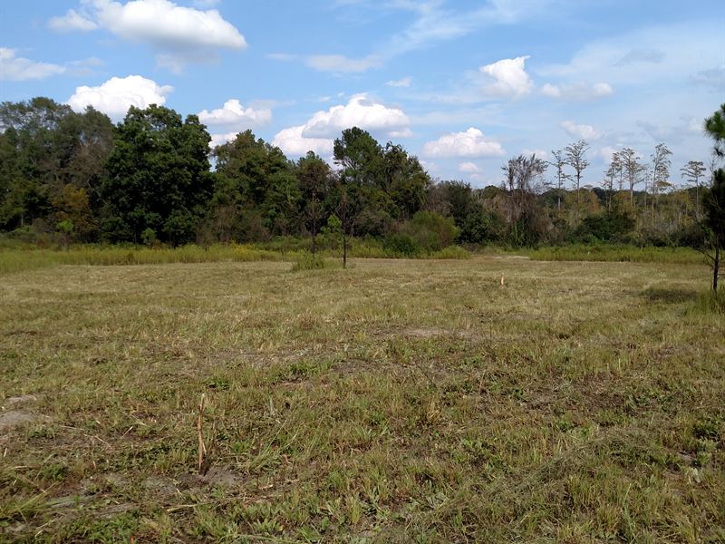 5 Ac Pasture Land - $1000 Down : Cordele : Crisp County : Georgia