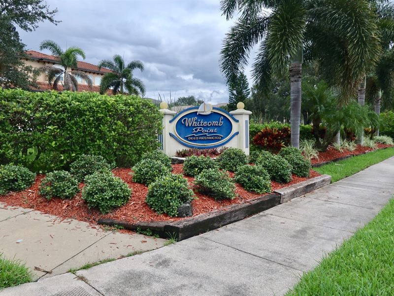 Tarpon Springs Waterfront Lot : Tarpon Springs : Pinellas County : Florida