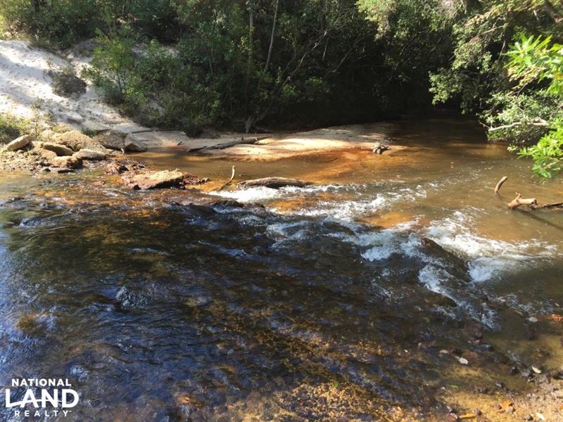 Majors Creek Latham Tract : Stockton : Baldwin County : Alabama