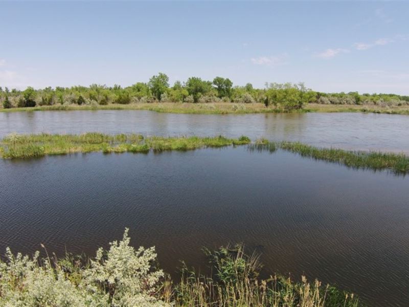 Platte River Wildlife : North Platte : Lincoln County : Nebraska