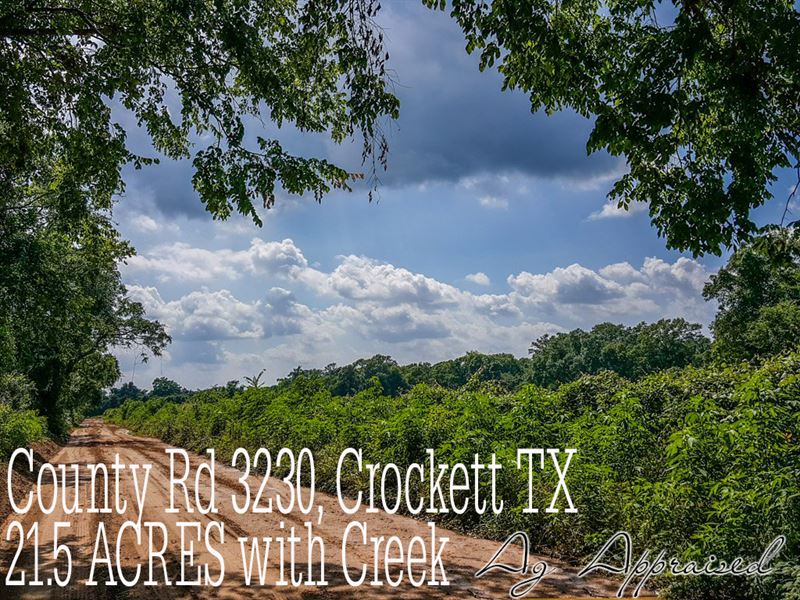 21.58 Acres in Houston County : Crockett : Houston County : Texas