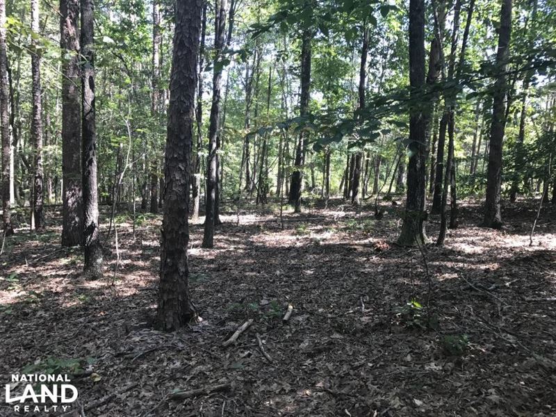 Foothills Homesite : Pickens : Pickens County : South Carolina