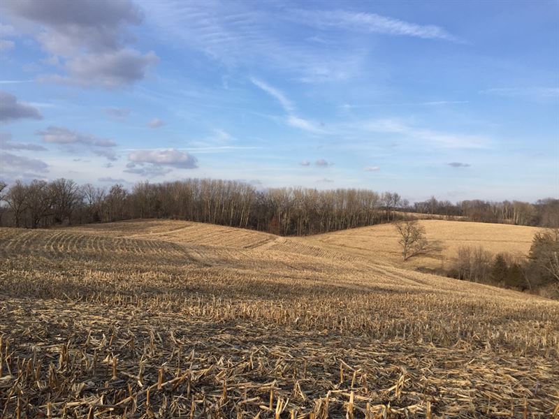 76.4 Acres On Little Platte River, Land for Sale in Wisconsin, 131812