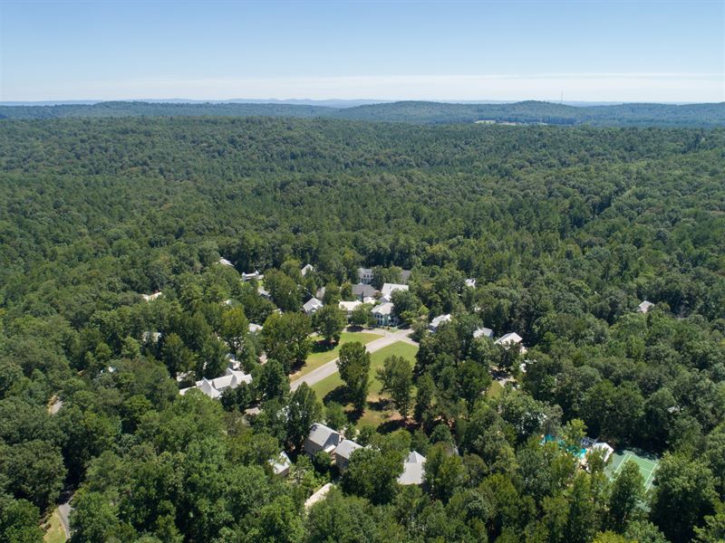 Auction Village At Blount Springs : Hayden : Blount County : Alabama
