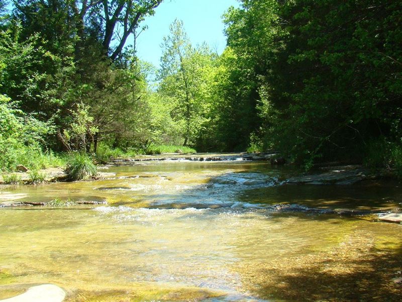 306 Ac.Springs, Creek, Pasture, Woo : Mountain View : Texas County : Missouri