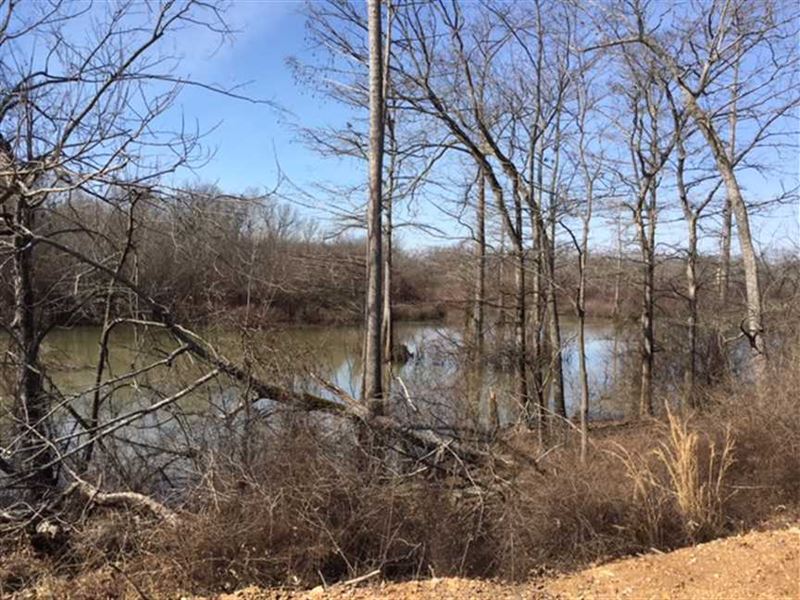 39.66 Acres On Bayou Des Arc Land for Sale in Des Arc, Prairie County