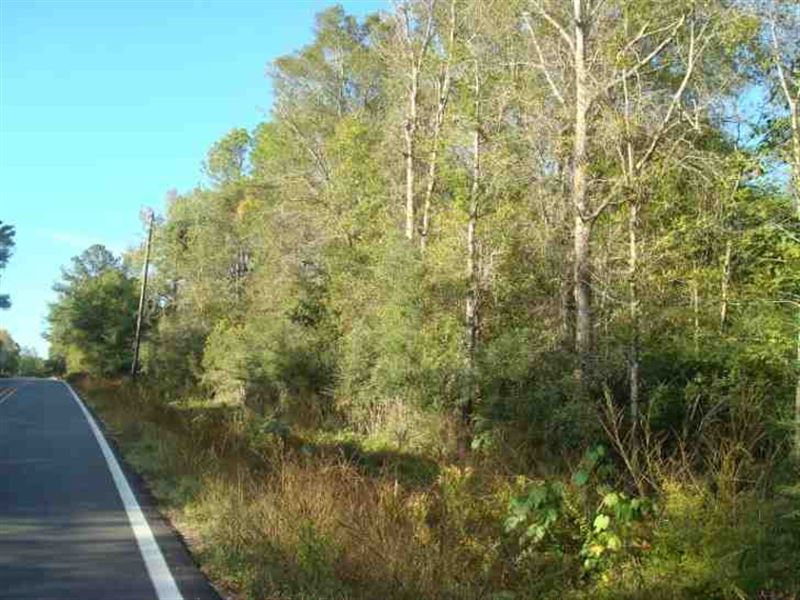 110 Acres Hunting & Timber LA : Picayune : Pearl River County : Mississippi