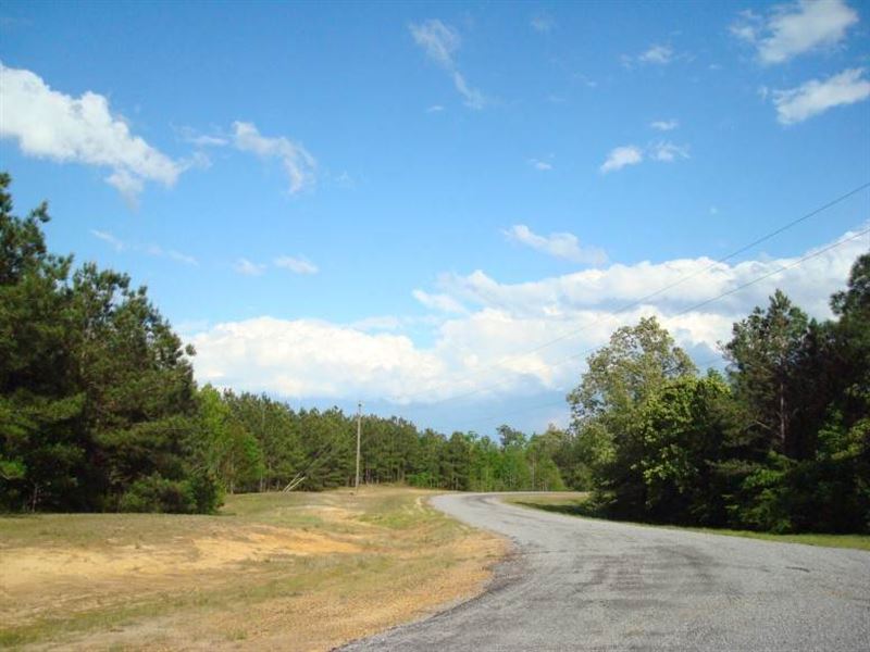 43.77 Acre, Tract 116, Mini-Fa : Brandon : Rankin County : Mississippi