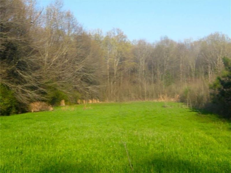 120 Ac. Prime Deer and Duck Hun : Oak Grove : West Carroll Parish : Louisiana