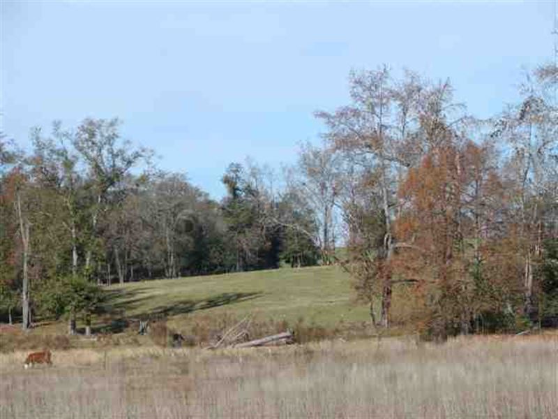 Land For Sale 407 Acres Burke Land for Sale in Keysville, Burke