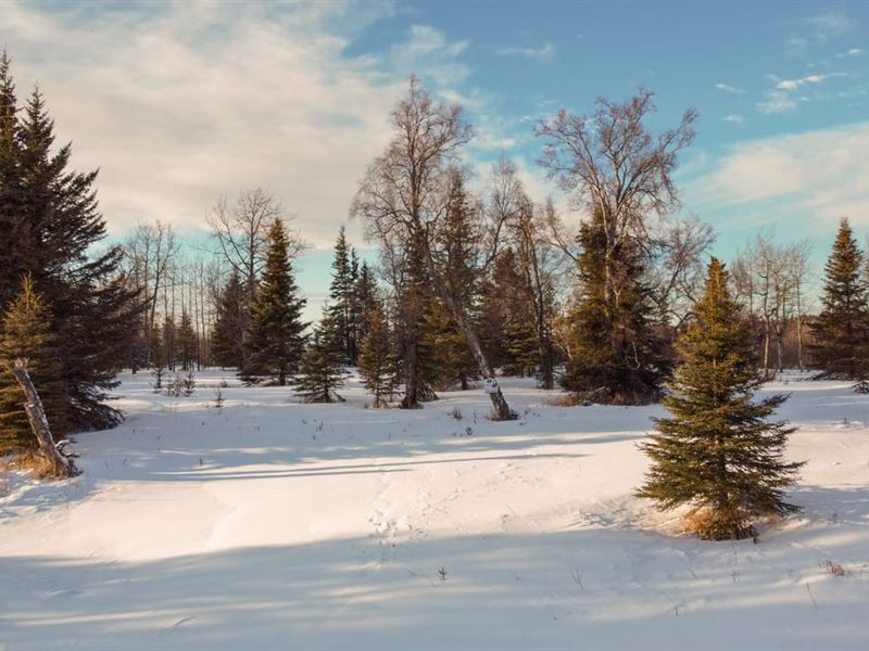L4 Tovarish St, Ninilchik : Ninilchik : Kenai Peninsula Borough : Alaska