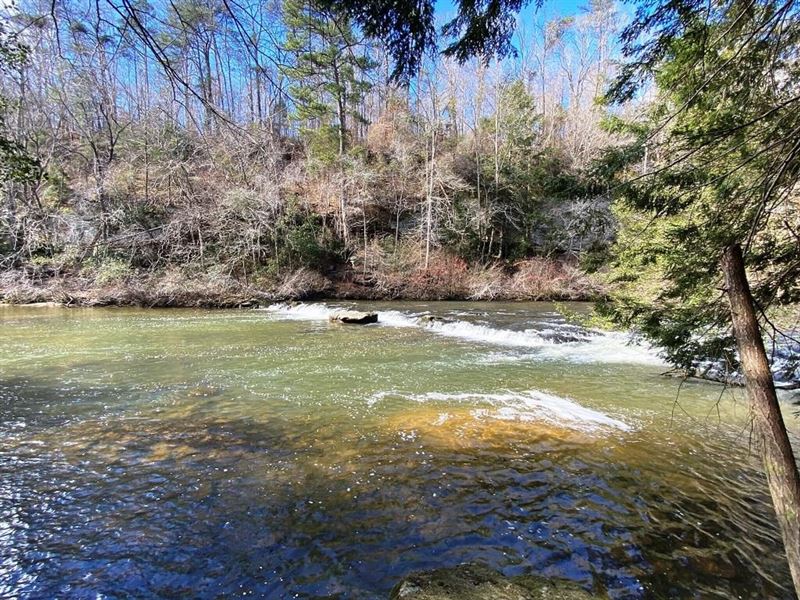 Bear Creek Hideaway : Bear Creek : Marion County : Alabama