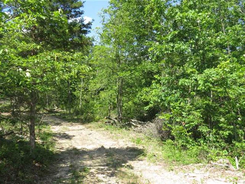 5 Acres for Sale in Reynolds Count : Redford : Reynolds County : Missouri