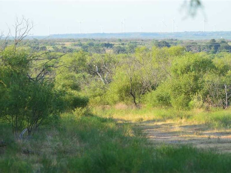 Large Price Reduction, 306 Acre Hu : Archer City : Archer County : Texas