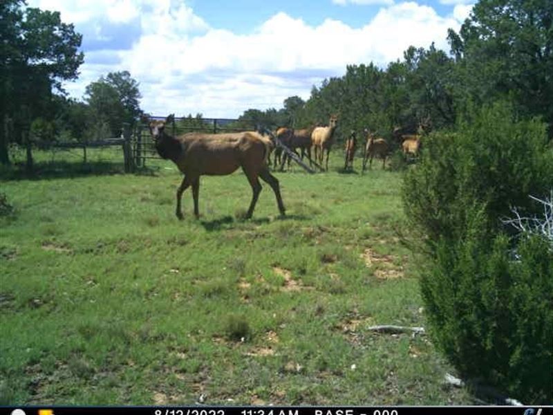 County Rd B020 : Mountainair : Torrance County : New Mexico
