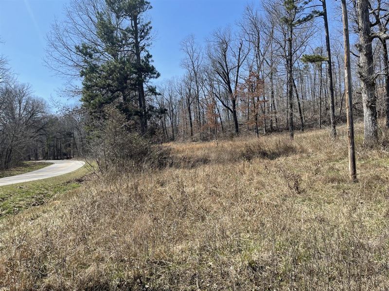 76 Acres for Sale in Wayne County : Mill Springs : Wayne County : Missouri