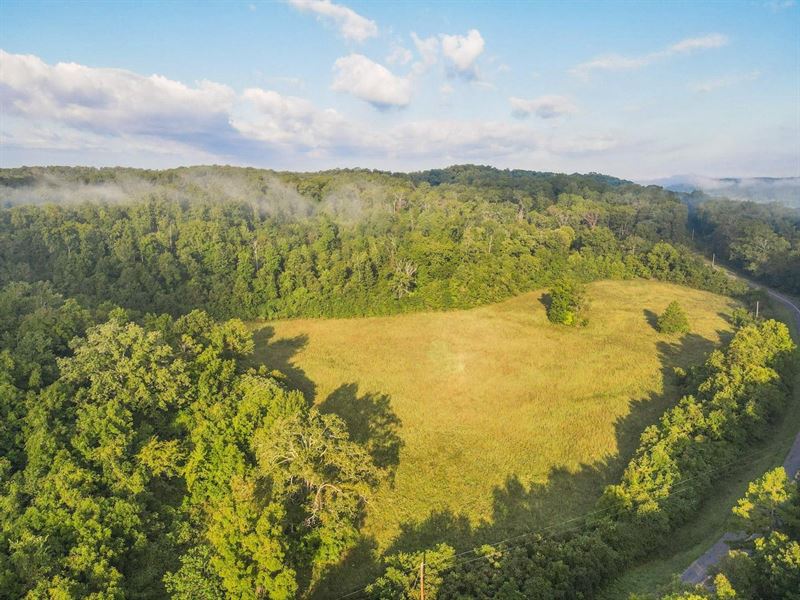 33 Acres by Current River : Van Buren : Carter County : Missouri