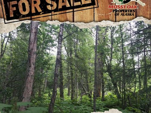 Agate Beach Subdivision : Nikiski : Kenai Peninsula Borough : Alaska