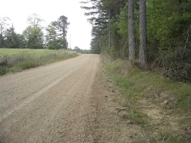 12.2 Acres of Recreational and Tim : Weir : Choctaw County : Mississippi