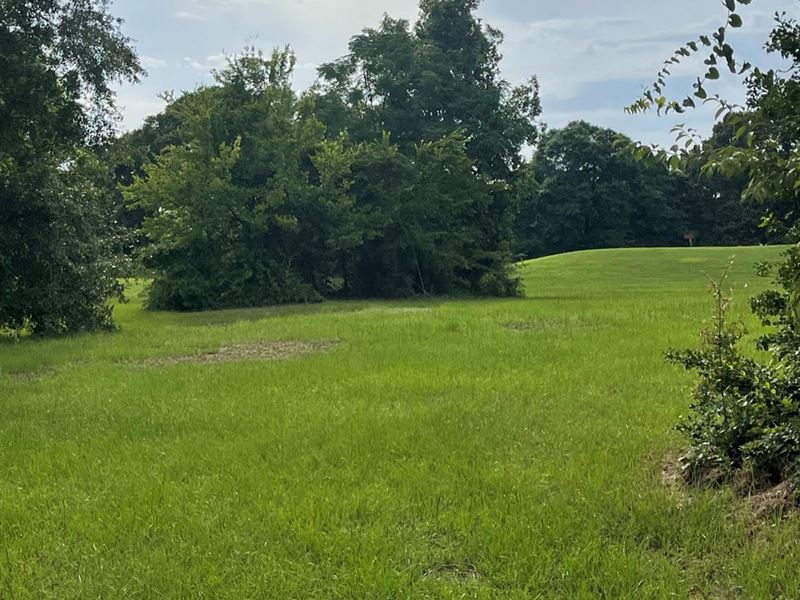 Lot 124 Pebble Beach Dr, Eufaula : Eufaula : Barbour County : Alabama