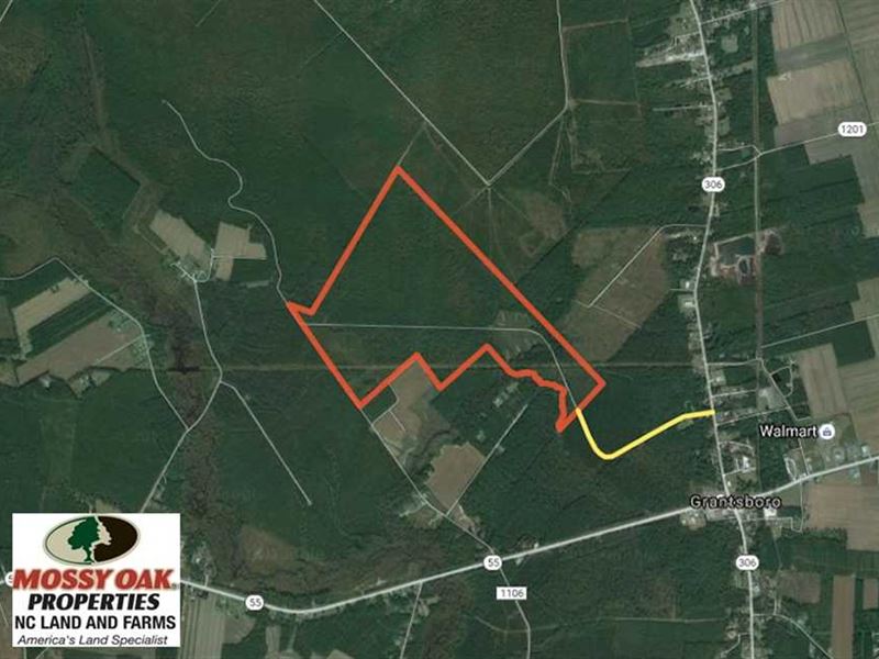 Under Contract, 356.33 Acres of : New Bern : Pamlico County : North Carolina