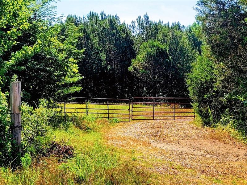 123 Acres Owl Creek Farm Ag Farm : Selmer : McNairy County : Tennessee