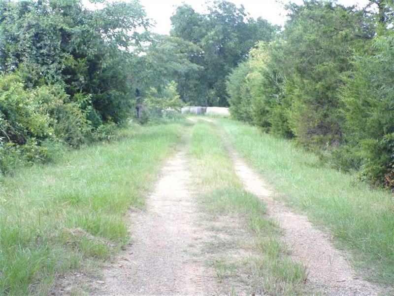 Prime Cattle Pasture Off Fallon Ch : Hugo : Choctaw County : Oklahoma