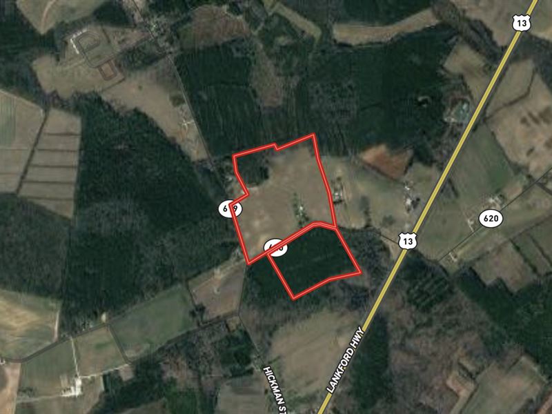 97.08 Acres of Ag : Painter : Accomack County : Virginia