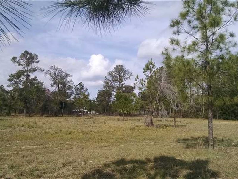 2 Acres Lakefront Land in Charlton : Folkston : Charlton County : Georgia