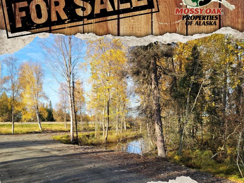 5.28 Commercial Acres with Gravel : Kenai : Kenai Peninsula Borough : Alaska