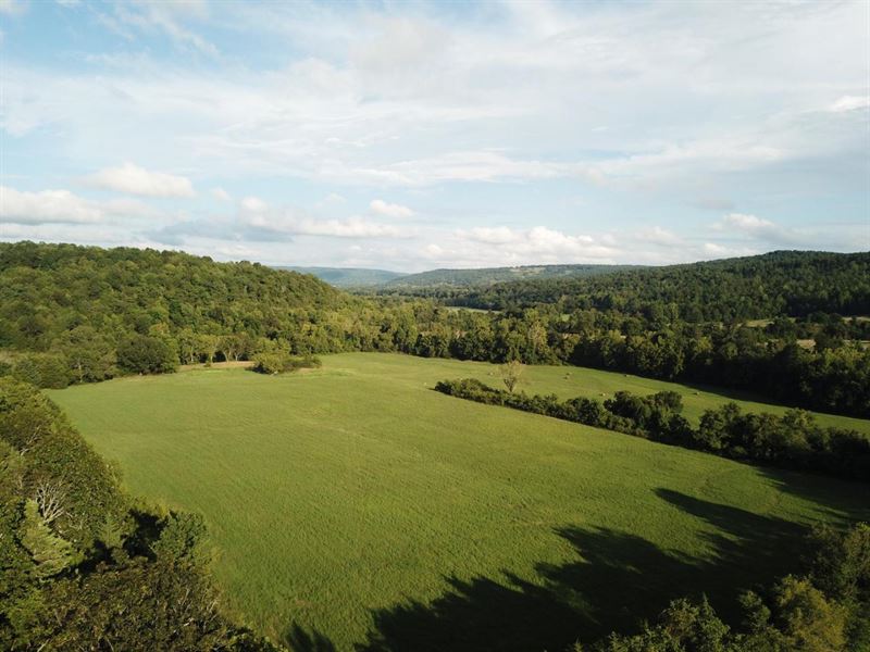 198.03 Acres with Hayfield, 2 : Leslie : Searcy County : Arkansas