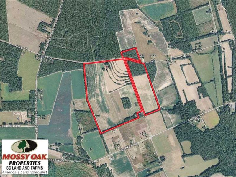 140.2 Acres Farm and Timber Land : Bishopville : Lee County : South Carolina
